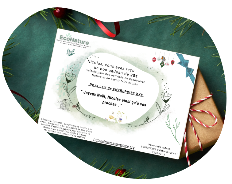 Cartes cadeaux