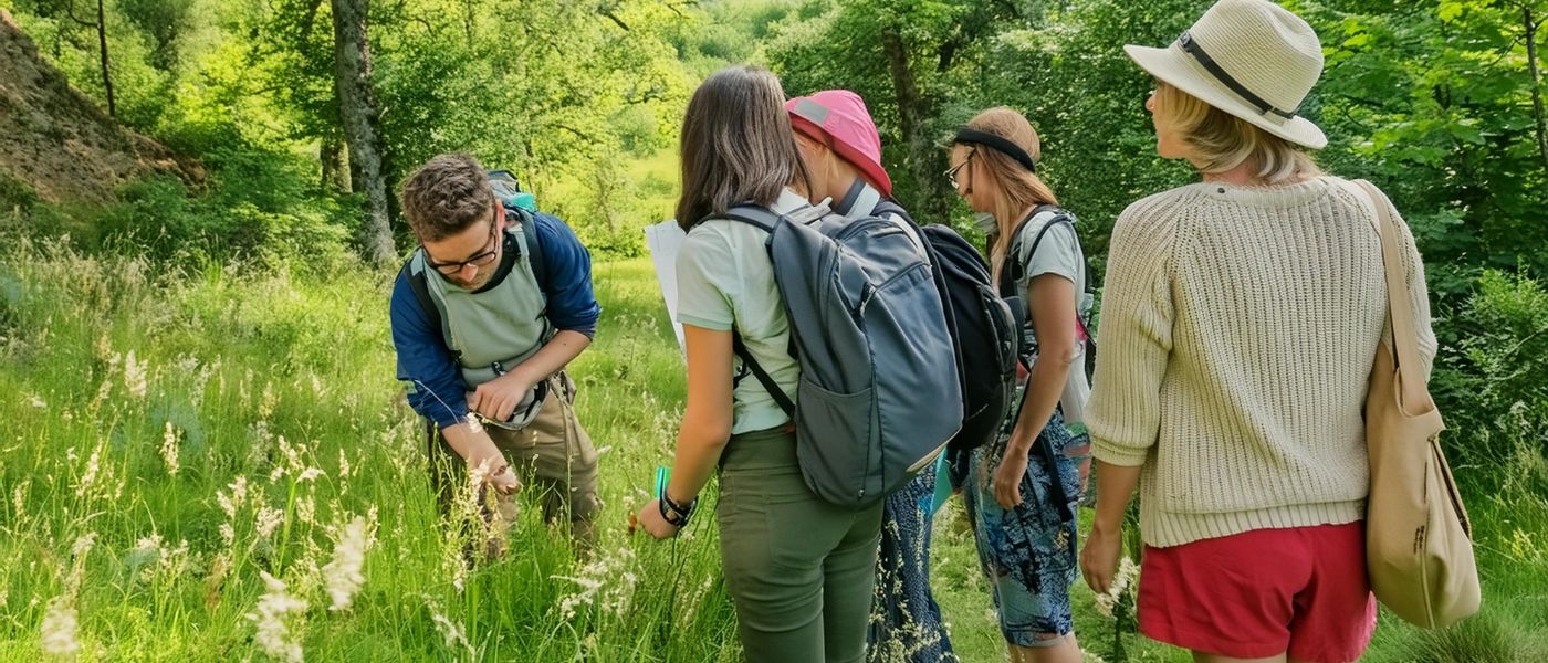 EcoNature, identification et cueillette de plantes sauvages