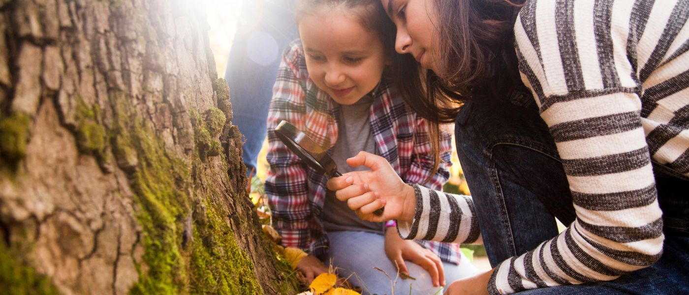 EcoNature- des sorties nature pour les enfants