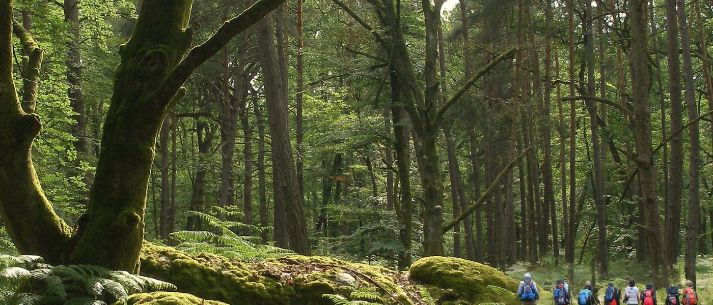 EcoNature, des randonnées en pleine nature à la découverte de la biodiversité