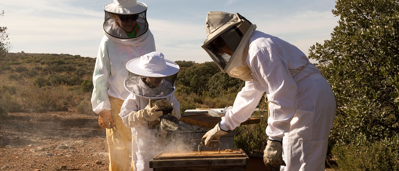 EcoNature- Découverte de l'apiculture et du monde des abeilles